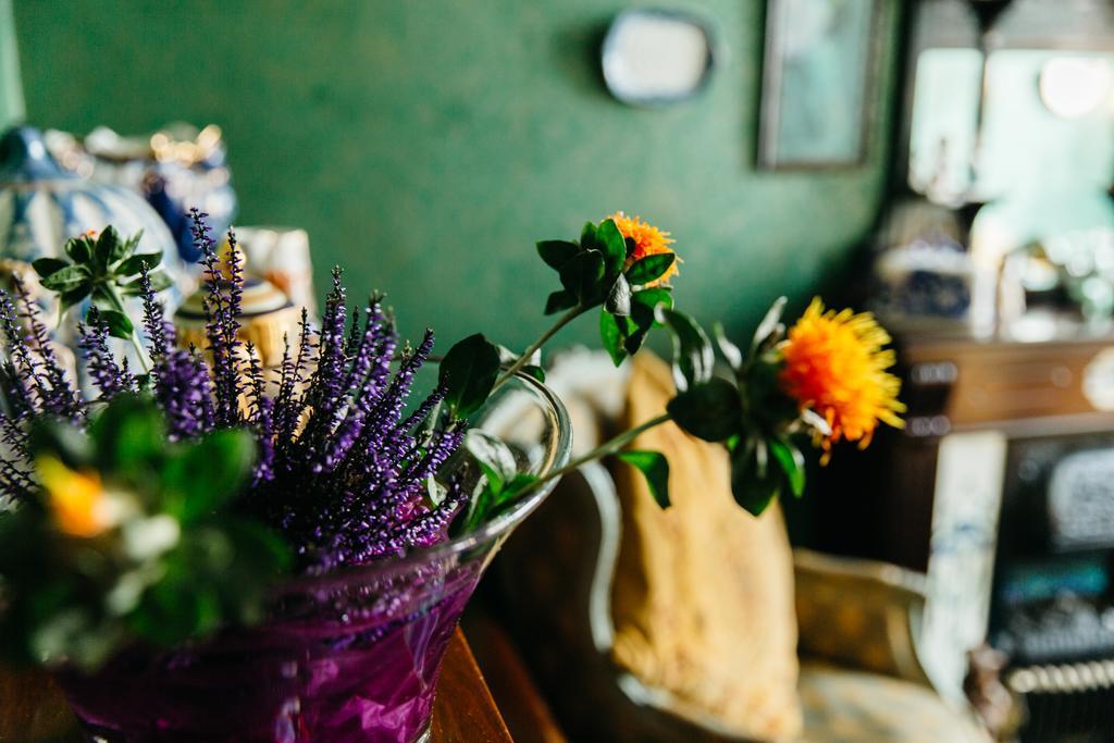 Alltavona House オーバン エクステリア 写真